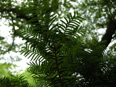DSCN0753.jpg