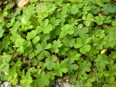 DSCN0755.jpg