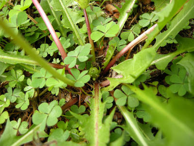 DSCN0757.jpg
