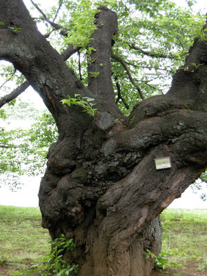 DSCN0759.jpg