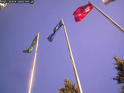 DSC_0011.jpg