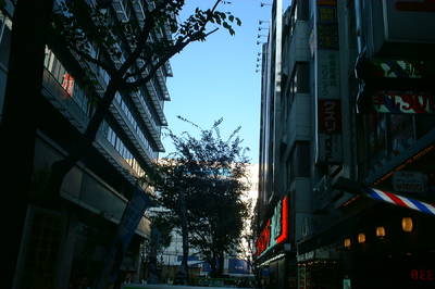 DSCF0006.JPG