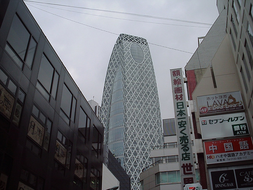 3777489375_14f47714ca.jpg