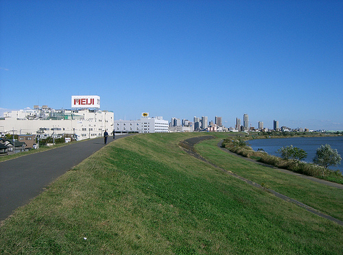 4052074874_8f65aa6716.jpg