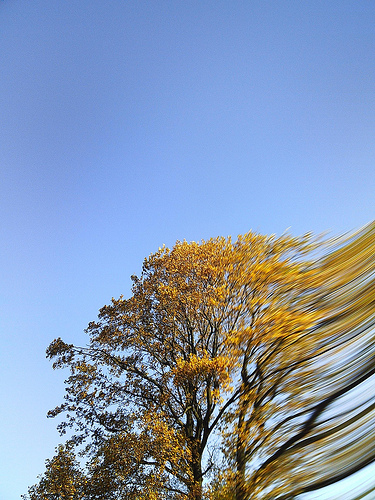 4114533805_365e57dc45.jpg