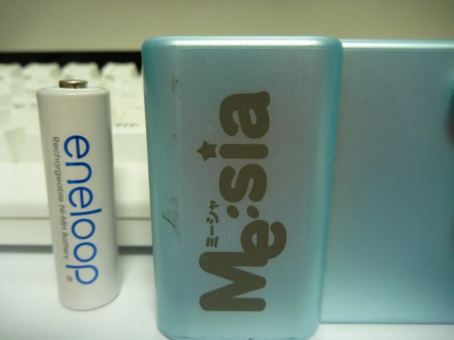 P1010527.JPG