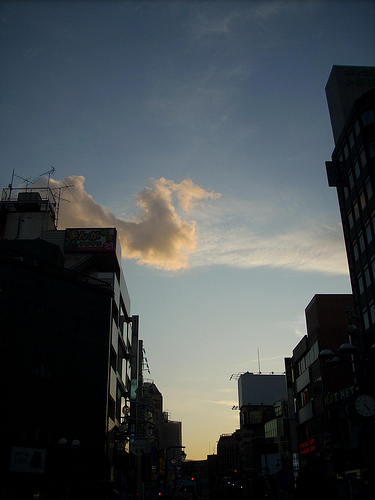 4084713923_1819fff199.jpg