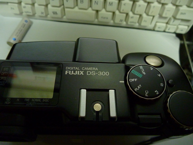 P1010597.JPG