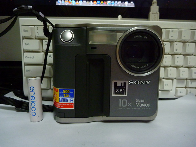 P1010603.JPG