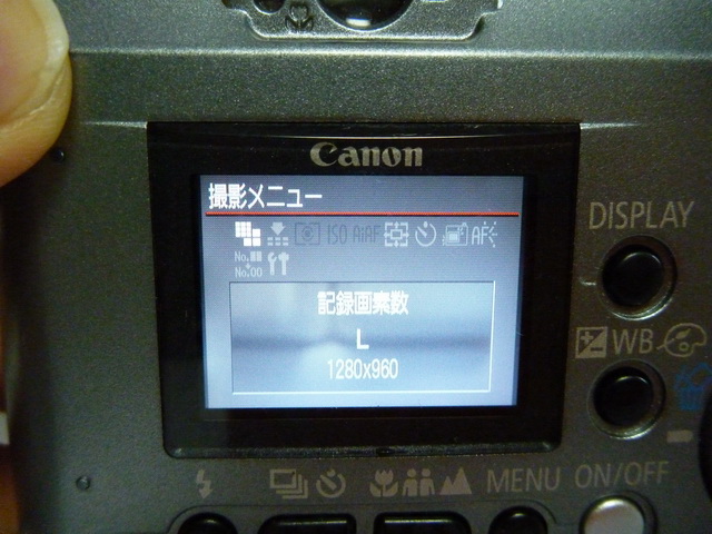 P1010707.JPG