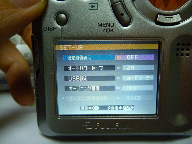 P1010749.JPG