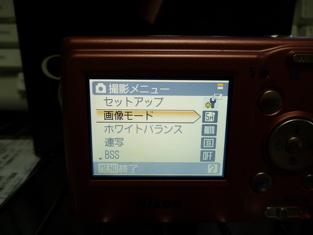 P1010868.JPG