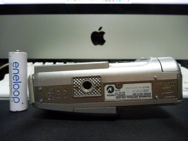 P1020118.JPG