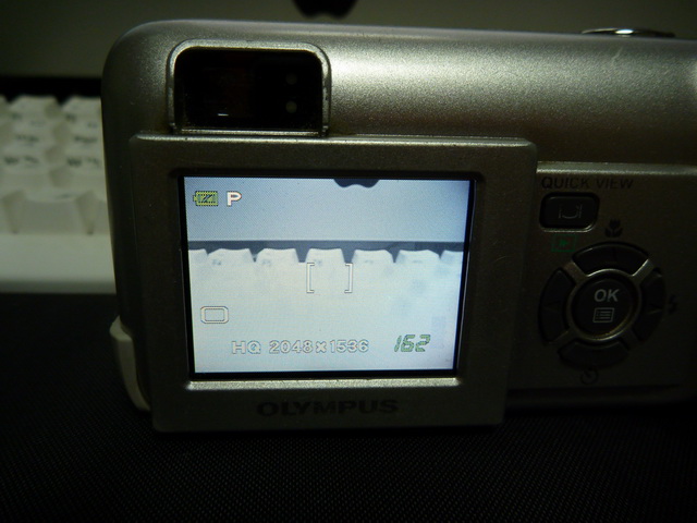 P1020124.JPG