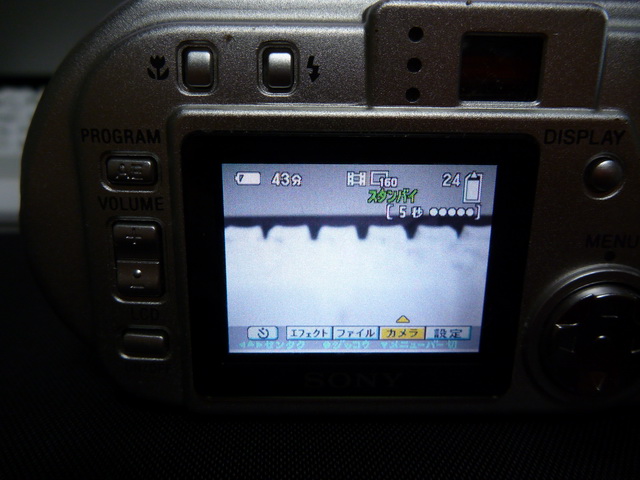 P1020282.JPG