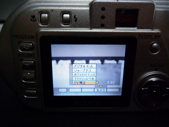 P1020283.JPG