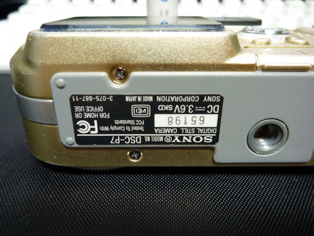 P1020369.JPG