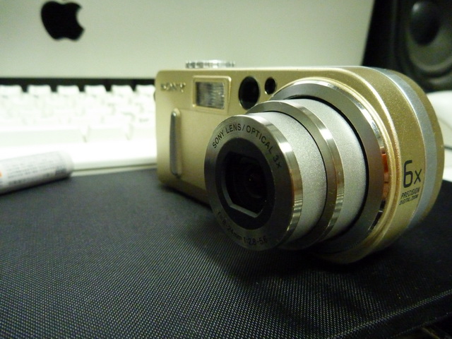 P1020371.JPG