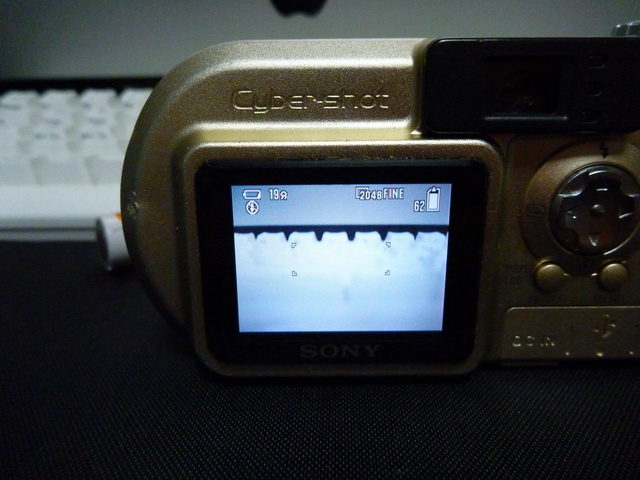 P1020373.JPG