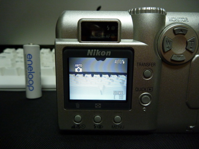 P1020410.JPG