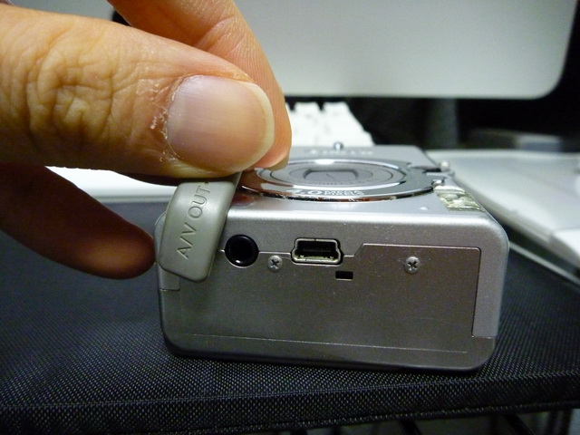 P1020442.JPG