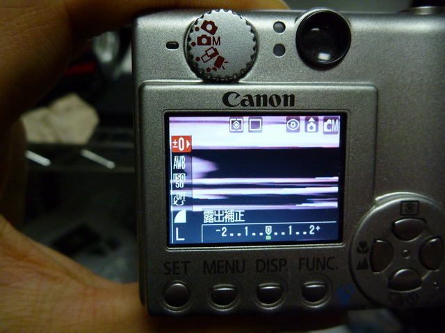 P1020451.JPG