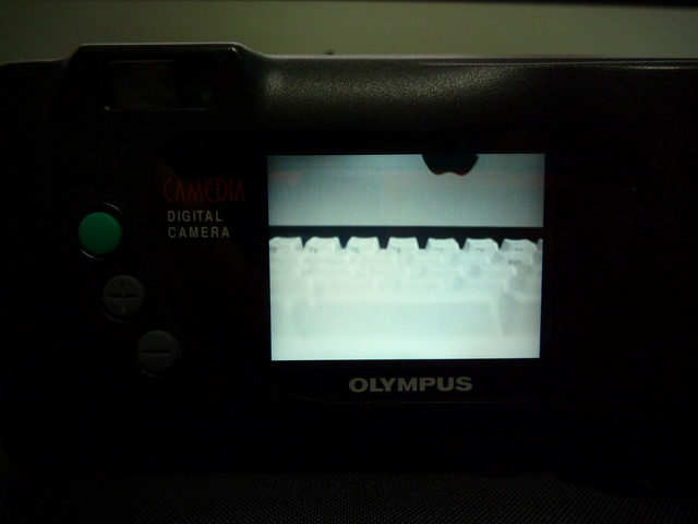 P1020517.JPG