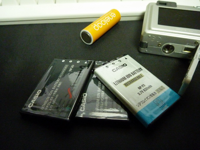 P1020571.JPG