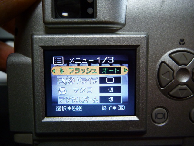 P1020644.JPG